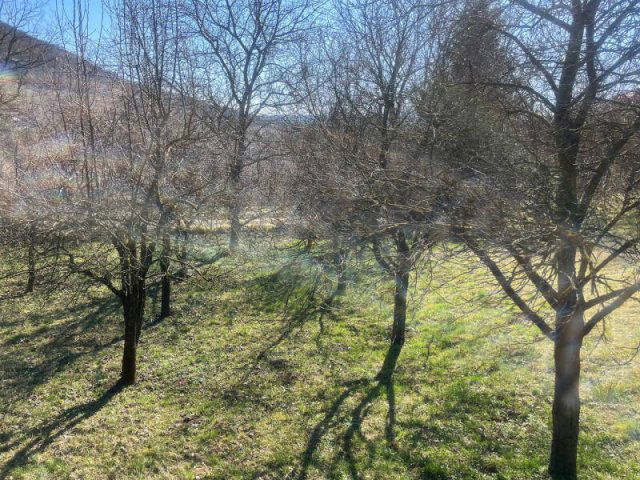 Eladó telek, Pilisjászfalun 54.5 M Ft / költözzbe.hu