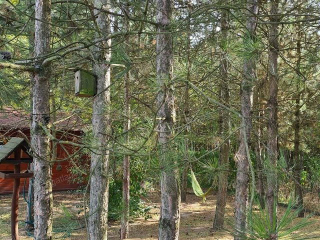 Eladó ipari ingatlan, Kecskeméten 260 M Ft / költözzbe.hu