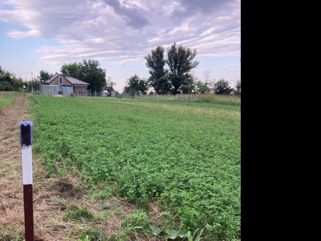 Eladó telek, Siófokon 16.9 M Ft / költözzbe.hu