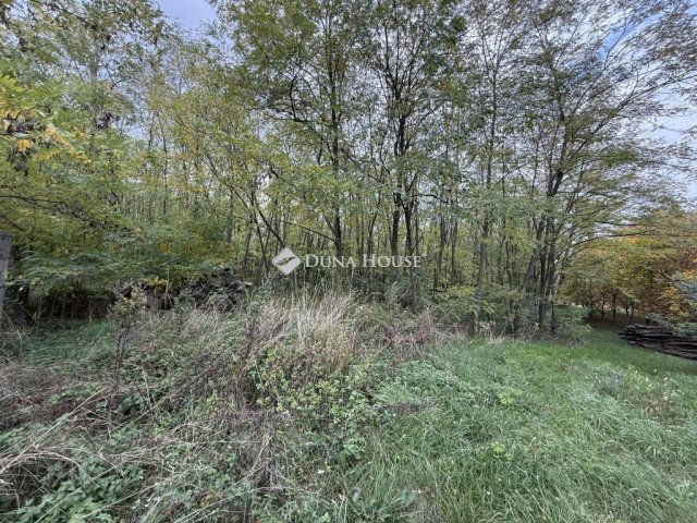 Eladó telek, Nyergesújfaluban 4.3 M Ft / költözzbe.hu