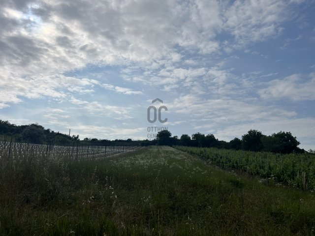 Eladó mezogazdasagi ingatlan, Tökön 14.5 M Ft