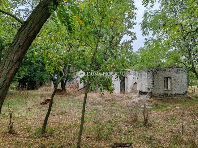 Eladó mezogazdasagi ingatlan, Izsákon 20 M Ft