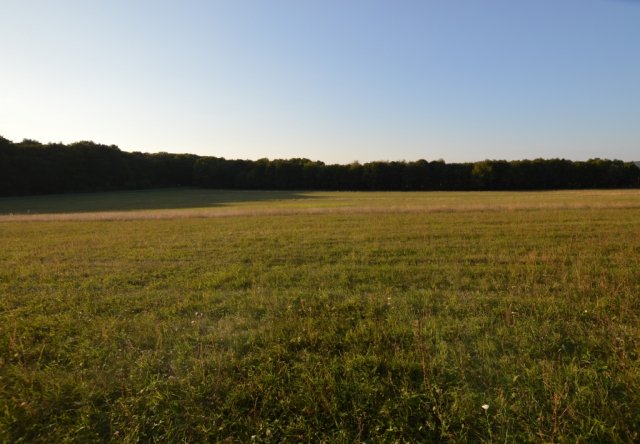 Eladó telek, Hárskúton 30 M Ft / költözzbe.hu