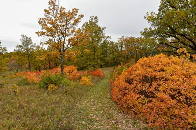 Eladó telek, Pécselyen 19.99 M Ft / költözzbe.hu