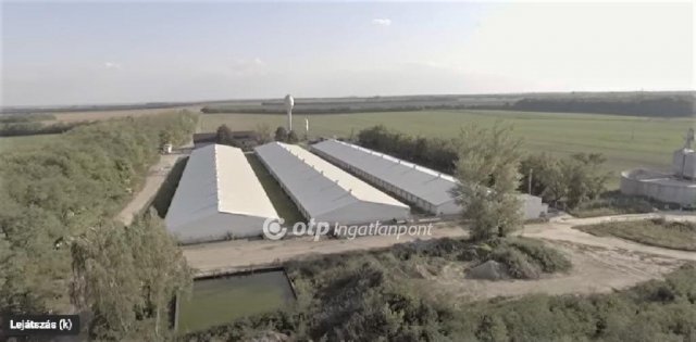 Eladó mezogazdasagi ingatlan, Nagylókon 700 M Ft