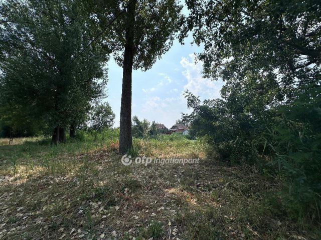 Eladó családi ház, Dömsödön 88 M Ft, 3 szobás
