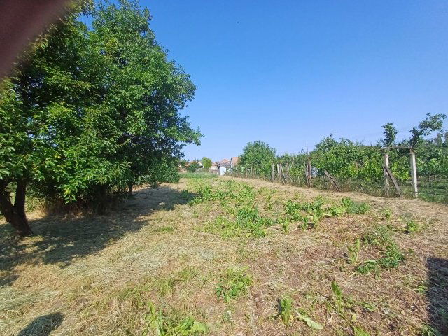 Eladó családi ház, Nagyhegyesen 54.9 M Ft, 2 szobás