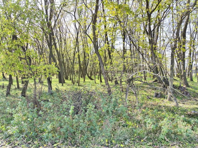 Eladó telek, Farmoson 9.9 M Ft / költözzbe.hu