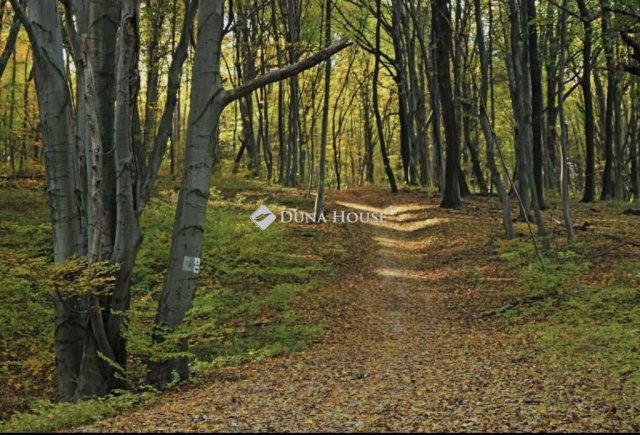 Eladó telek, Abaligeten 11.9 M Ft / költözzbe.hu