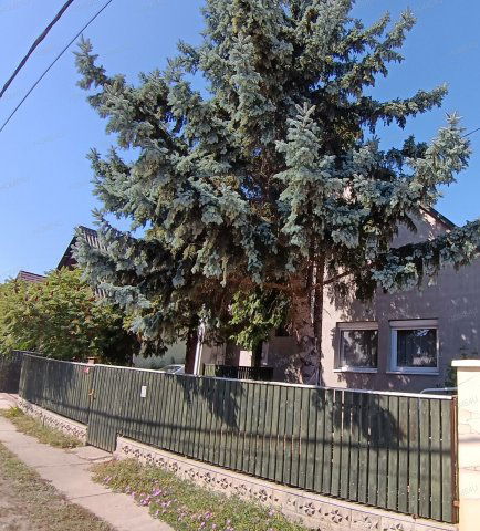 Eladó családi ház, Szajolon 59.9 M Ft / költözzbe.hu