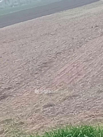 Eladó mezogazdasagi ingatlan, Derecskén 3.6 M Ft