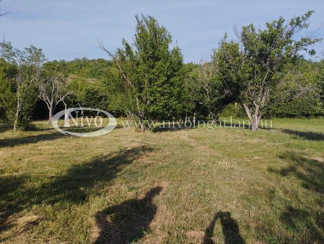 Eladó mezogazdasagi ingatlan, Balatonkenesén 19 M Ft