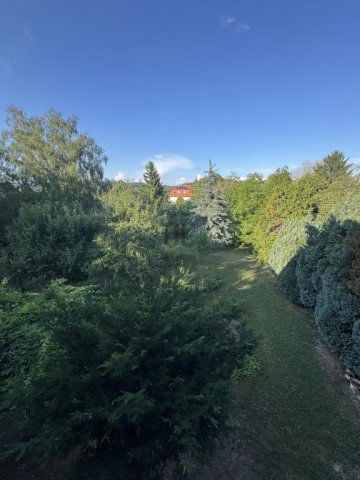 Eladó családi ház, Budapesten, II. kerületben 225 M Ft, 5 szobás