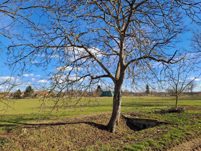 Eladó telek, Vasszécsenyen 8.8 M Ft / költözzbe.hu
