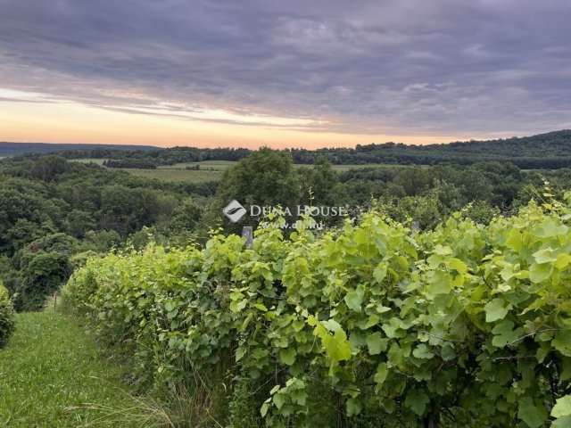 Eladó telek, Kőszegdoroszlón 10.5 M Ft / költözzbe.hu