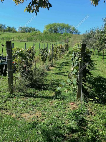 Eladó nyaraló, Pacsán 15.9 M Ft, 1 szobás / költözzbe.hu