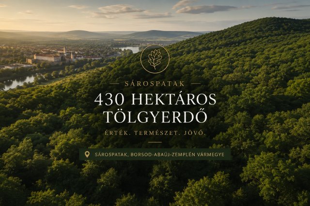 Eladó ipari ingatlan, Sárospatakon 3520 M Ft