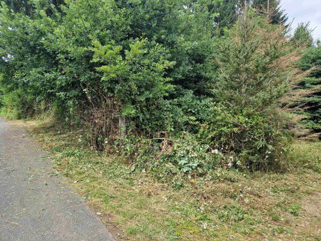 Eladó telek, Kustánszegen 2.95 M Ft / költözzbe.hu