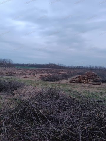 Eladó telek, Nyíregyházán 71 M Ft / költözzbe.hu
