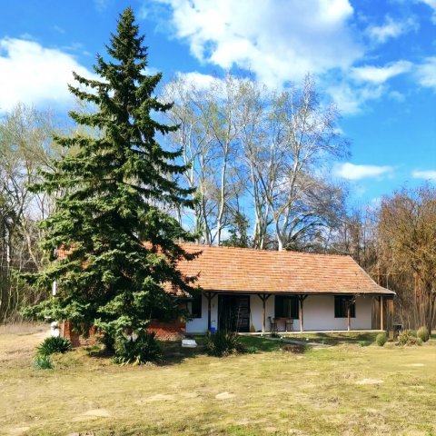 Eladó mezogazdasagi ingatlan, Szabadszálláson 34.99 M Ft