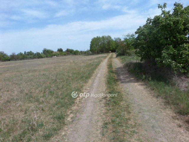 Eladó telek, Kecskeméten 3.9 M Ft / költözzbe.hu