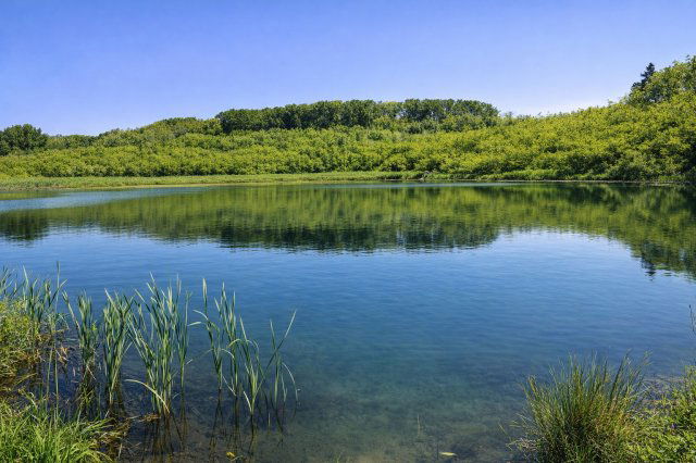 Eladó mezogazdasagi ingatlan, Pécsett, Rücker-akna 200 M Ft