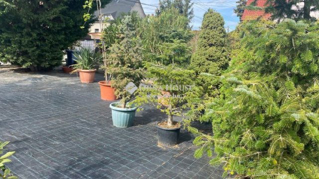 Eladó telek, Dunakeszin 187 M Ft / költözzbe.hu