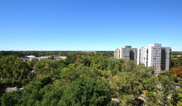 Kiadó panellakás, albérlet, Debrecenben 205 E Ft / hó, 2 szobás