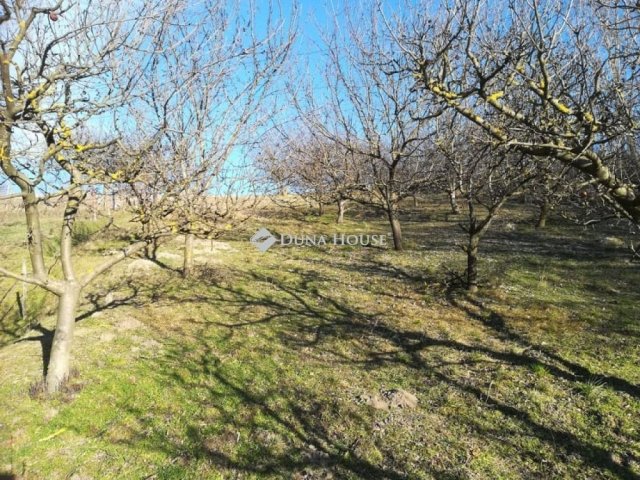 Eladó telek, Ádándon 25 M Ft / költözzbe.hu