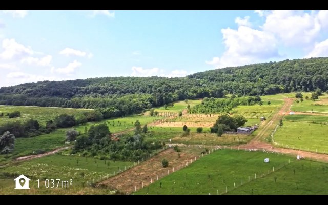 Eladó telek, Nagykovácsiban 59 M Ft / költözzbe.hu