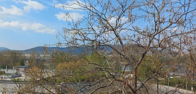 Eladó téglalakás, Budapesten, XIII. kerületben 85 M Ft, 2 szobás