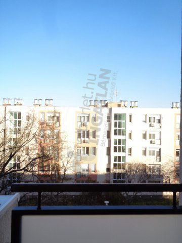 Kiadó panellakás, albérlet, X. kerületben, Halom utcában