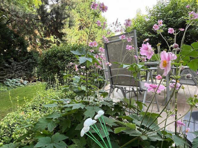 Eladó családi ház, Diósdon 189.9 M Ft, 8 szobás