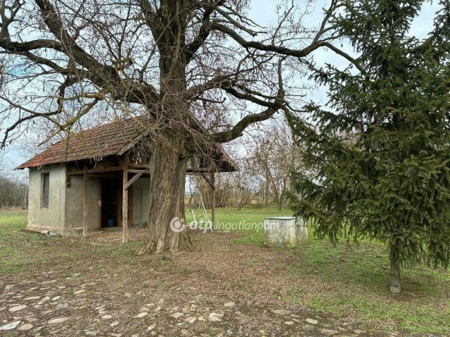 Eladó mezogazdasagi ingatlan, Sarkadon 15 M Ft, 1 szobás