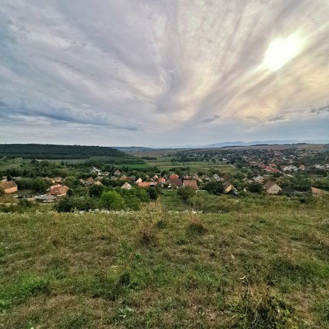 Eladó telek, Rádon 29.9 M Ft / költözzbe.hu