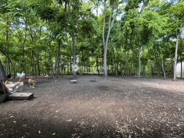 Eladó családi ház, Nagybaracskán 23.99 M Ft, 3 szobás