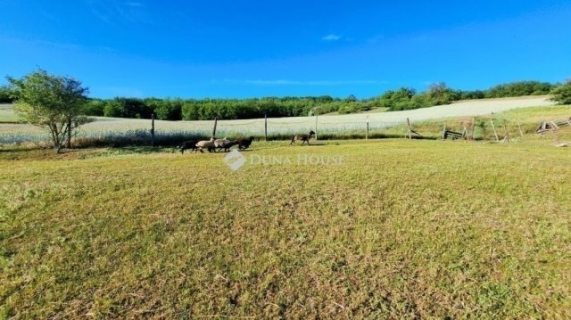 Eladó családi ház, Sülysápon 61.9 M Ft, 3+1 szobás