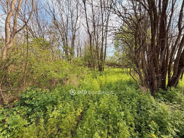 Eladó telek, Nyíregyházán 27 M Ft / költözzbe.hu