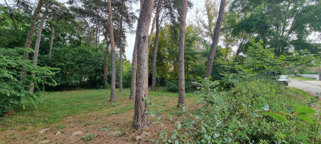 Eladó telek, Balatonfenyvesen, Bethlen Gábor utcában 45 M Ft