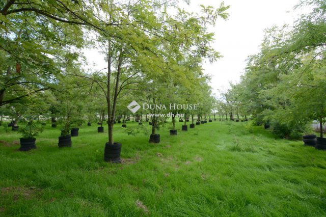 Eladó mezogazdasagi ingatlan, Kiskunfélegyházán 28.9 M Ft