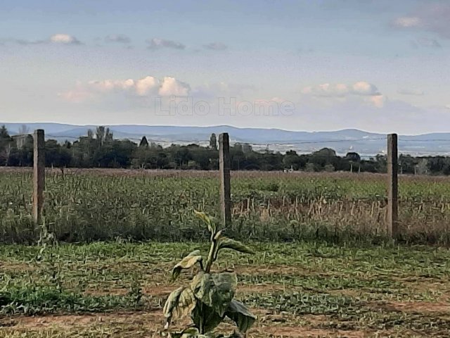 Eladó mezogazdasagi ingatlan, Balatonszárszón 14 M Ft