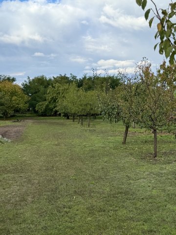Eladó telek, Nyíregyházán 17.5 M Ft / költözzbe.hu