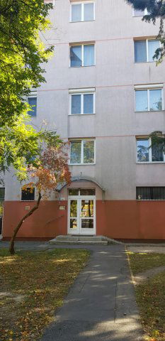 Kiadó téglalakás, albérlet, Székesfehérvárott 145 E Ft / hó