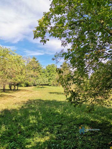 Eladó mezogazdasagi ingatlan, Zalaegerszegen 3 M Ft