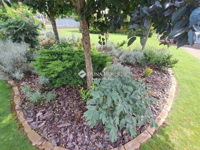 Eladó családi ház, Kecskeméten 149 M Ft, 5 szobás