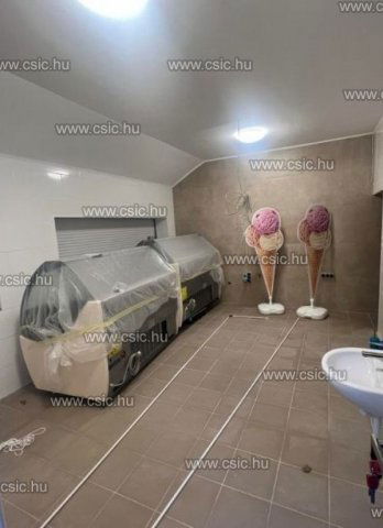 Eladó családi ház, Budapesten, III. kerületben 99 M Ft, 3 szobás