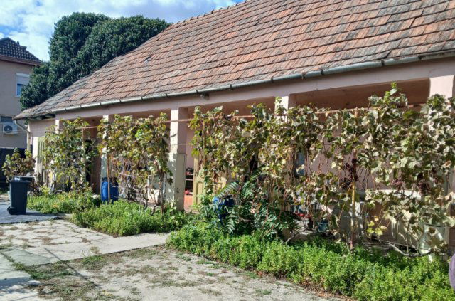 Eladó családi ház, Dabason 22.9 M Ft, 4 szobás