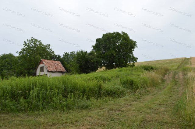 Eladó mezogazdasagi ingatlan, Bálványoson 14.9 M Ft, 1 szobás