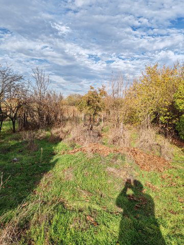 Eladó mezogazdasagi ingatlan, Cibakházán 3.4 M Ft