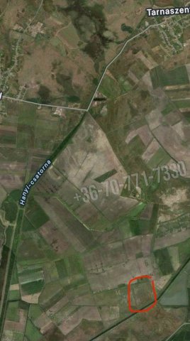 Eladó telek, Pélyen 16 M Ft / költözzbe.hu